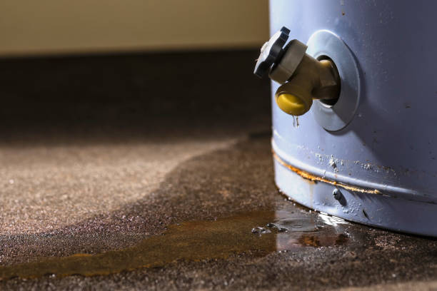 Best Flood damage cleanup  in Clark Mills, NY