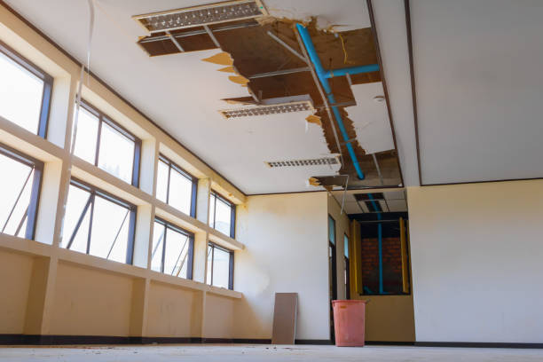 Best Mold removal after water damage  in Clark Mills, NY