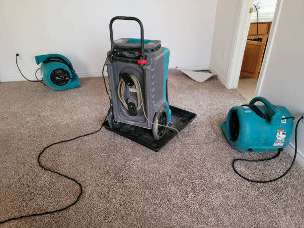 Best Professional water damage repair  in Clark Mills, NY