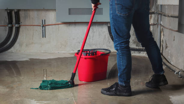 Best Water damage restoration near me  in Clark Mills, NY