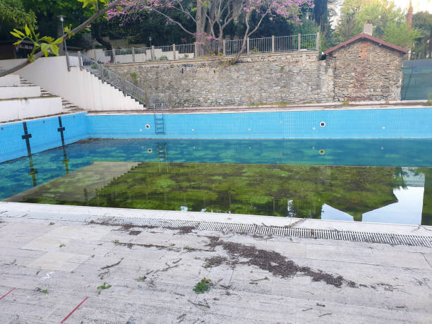 Best Flood restoration services  in Clark Mills, NY