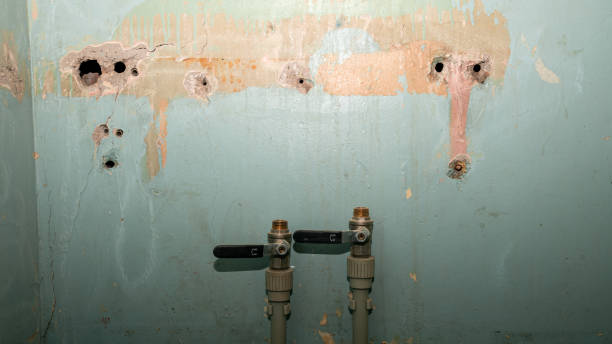 Best Local water damage restoration  in Clark Mills, NY