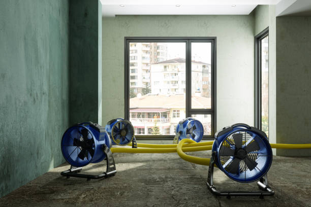 Best 24-hour water damage restoration  in Clark Mills, NY